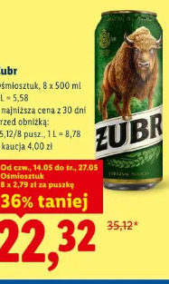 Żubr