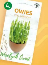 Owies wielkanocny Vilmorin Garden