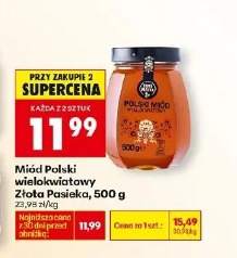 Miód Polski wielokwiatowy Złota Pasieka