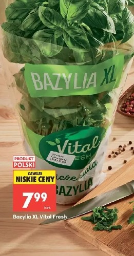 Bazylia XL Vital Fresh