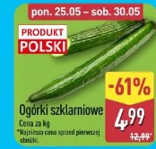 Ogórki szklarniowe