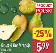 Gruszki Konferencja