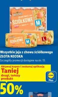 Wszystkie jaja z chowu ściółkowego Złota Nioska