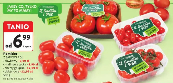 Pomidor Z Sadów i Pól