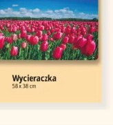 Wycieraczka