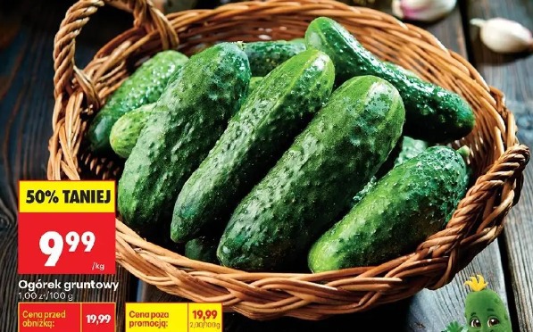 Ogórek gruntowy 