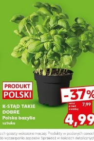 K-Stąd Takie Dobre Polska bazylia