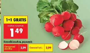 Rzodkiewka, pęczek