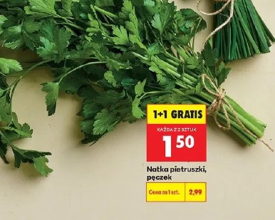 Natka pietruszki, pęczek