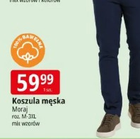 Koszula męska Moraj