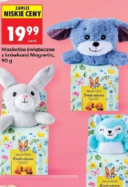 Maskotka świąteczna z krówkami Magnetic