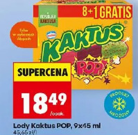 Lody Kaktus POP