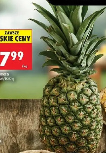 Ananas