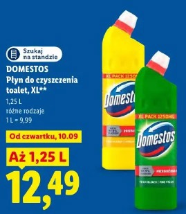 Domestos Płyn do czyszczenia toalet, XL