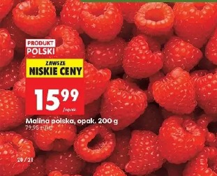 Malina polska