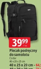 Plecak podręczny do samolotu Cedar