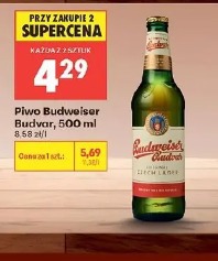 Piwo Budweiser Budvar