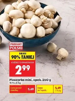 Pieczarka mini