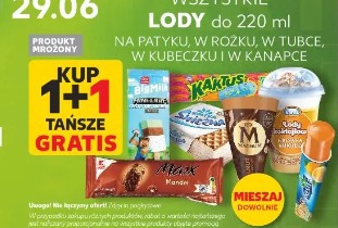 Wszystkie lody do 220 ml