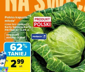 Polska kapusta młoda
