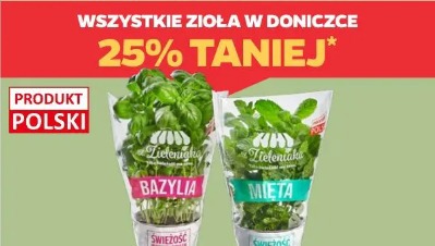 Wszystkie zioła w doniczce