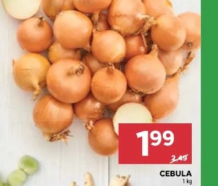 Cebula