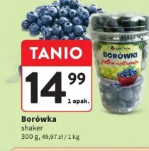 Borówka