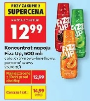 Koncentrat napoju Fizz Up, 500 ml