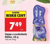 Zając z czekolady Milka