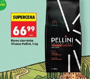 Kawa ziarnista Vivace Pollini