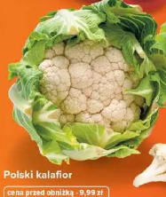 Polski kalafior