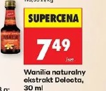 Wanilia naturalny ekstrakt Delecta
