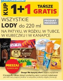 Wszystkie lody do 220 ml