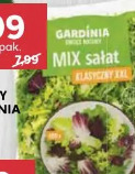 Mix sałat klasyczny XXL Gardinia