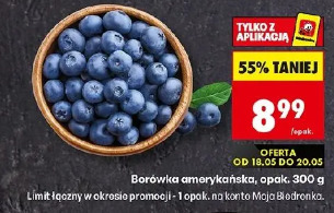 Borówka amerykańska