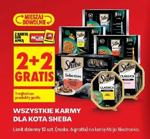 Wszystkie karmy dla kota Sheba