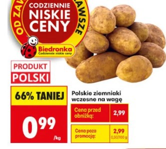 Polskie ziemniaki wczesne