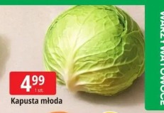 Kapusta młoda