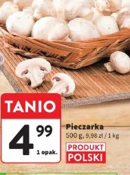 Pieczarka