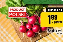 Rzodkiewki
