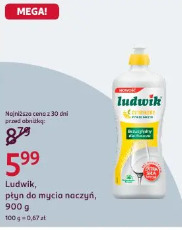 Ludwik, płyn do mycia naczyń