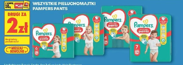 Pampers Pants wszystkie pieluchomajtki