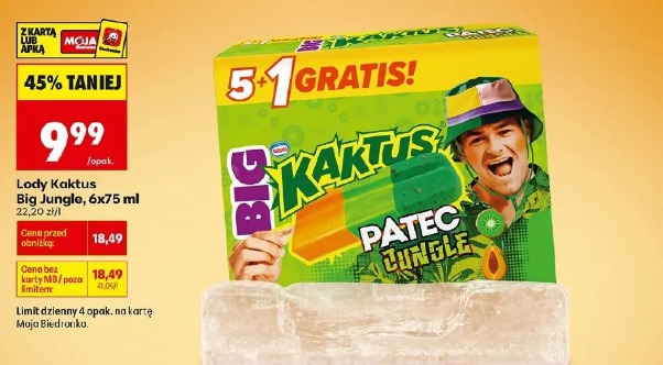 Lody Kaktus Big Jungle