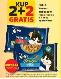 Felix karma dla kotów różne rodzaje