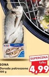 Sona Dorada patroszona