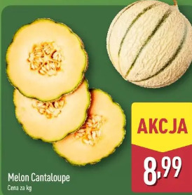 Melon Cantaloupe