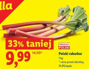 Polski rabarbar