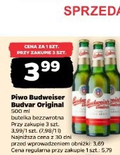Piwo Budweiser Budvar Original