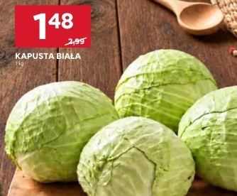 Kapusta biała 