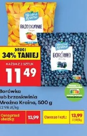 Borówka lub brzoskwinia Mrożna Kraina